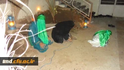 تعزیه خوانی دانشجویان