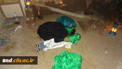 تعزیه خوانی دانشجویان