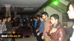 تعزیه خوانی دانشجویان