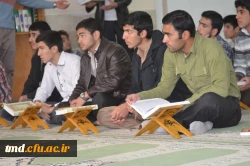 انس با قرآن کریم