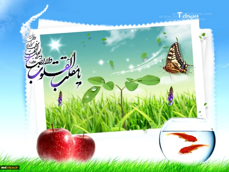 تبریک سال نو