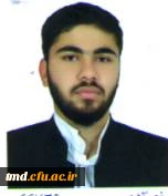 درخشش دانشجویان مرکز آموزش عالی نیشابور در بیست و چهارمین جشنواره مسابقات فرهنگی هنری دانشجویان 2