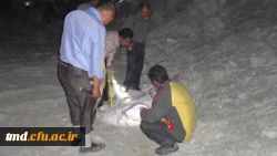 بازدید دانشجویان کارشناسی علوم تجربی و آموزش ابتدائی از معادن فیروزه و نمک و گچ 3