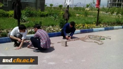 قهرمانی دانشجویان مرکز دانشور در مسابقات دومینو ( دانشگاه نیشابور)