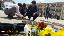 قهرمانی دانشجویان مرکز دانشور در مسابقات دومینو ( دانشگاه نیشابور)