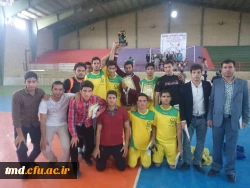 جام خلیج فارس