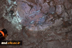 بازدید معدن