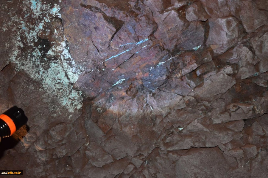 بازدید معدن