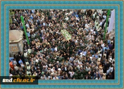 شهید مدافع حرم