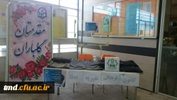 سهم من از گرمی زمستان تو