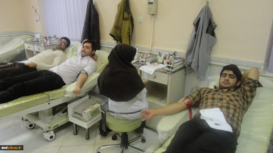 اهدای زندگی