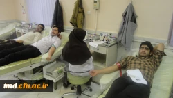 سهم من از زندگی تو