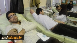 سهم من از زندگی تو