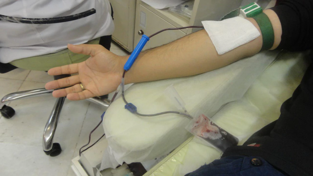 سهم من از زندگی تو