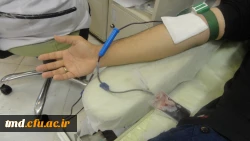 سهم من از زندگی تو