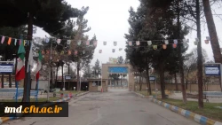 آذین بندی فضای داخلی دانشکده دانشور به مناسبت آغاز دهه فجر