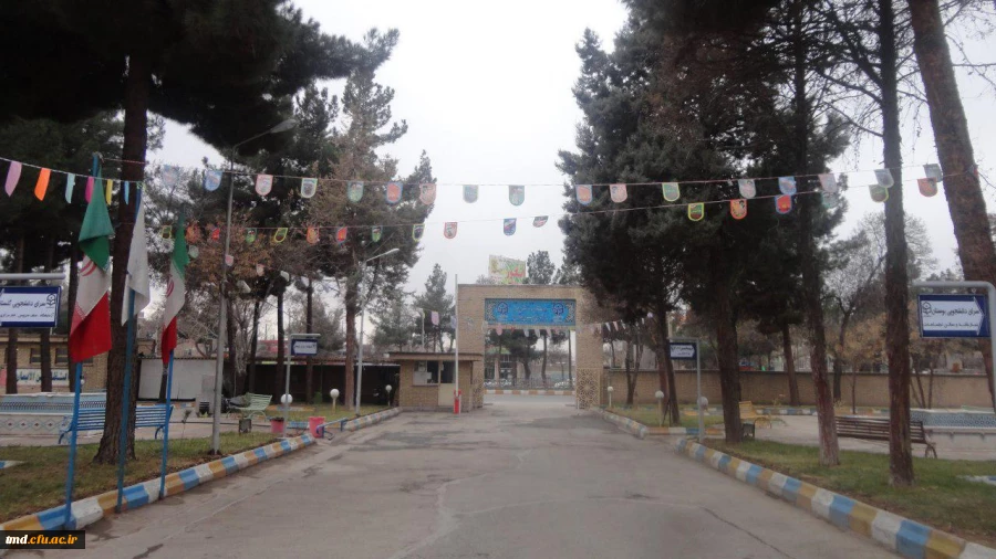 آذین بندی فضای داخلی دانشکده دانشور به مناسبت آغاز دهه فجر