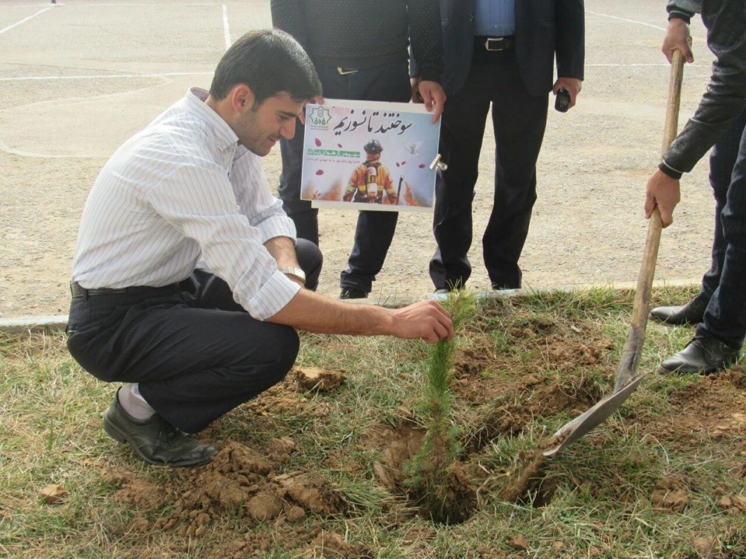 کاشت نهال مهر ... روز درختکاری مرکز دانشور نیشابور