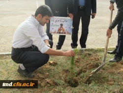 کاشت نهال مهر ... روز درختکاری مرکز دانشور نیشابور
