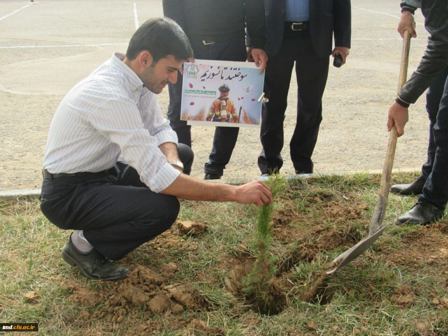 کاشت نهال مهر ... روز درختکاری مرکز دانشور نیشابور