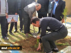 کاشت نهال مهر ... روز درختکاری مرکز دانشور نیشابور