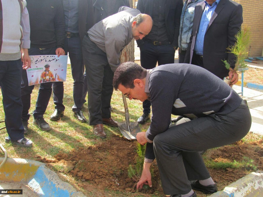 کاشت نهال مهر ... روز درختکاری مرکز دانشور نیشابور