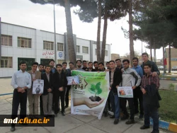 کاشت نهال مهر ... روز درختکاری مرکز دانشور نیشابور