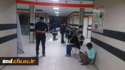 آموزش پرسپکتیو و نقاشی روی سنگ