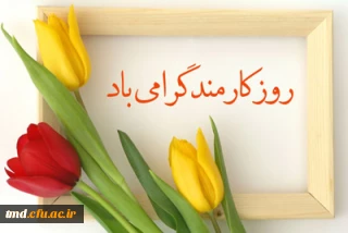 همزمان با هفته دولت و روز کارمند انجام شد : 
مراسم تجلیل و تقدیر از کارمندان نمونه