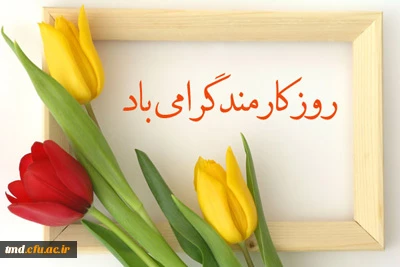 همزمان با هفته دولت و روز کارمند انجام شد : 
مراسم تجلیل و تقدیر از کارمندان نمونه