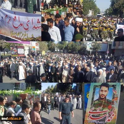 همراه و همگام با امت حزب الله نیشابور انجام شد : 
حضور سرپرست و کارکنان دانشگاه فرهنگیان واحد دانشور در تشییع شهید اسدی شهید مدافع حرم