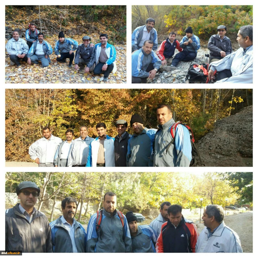 هفته تربیت بدنی و ورزش