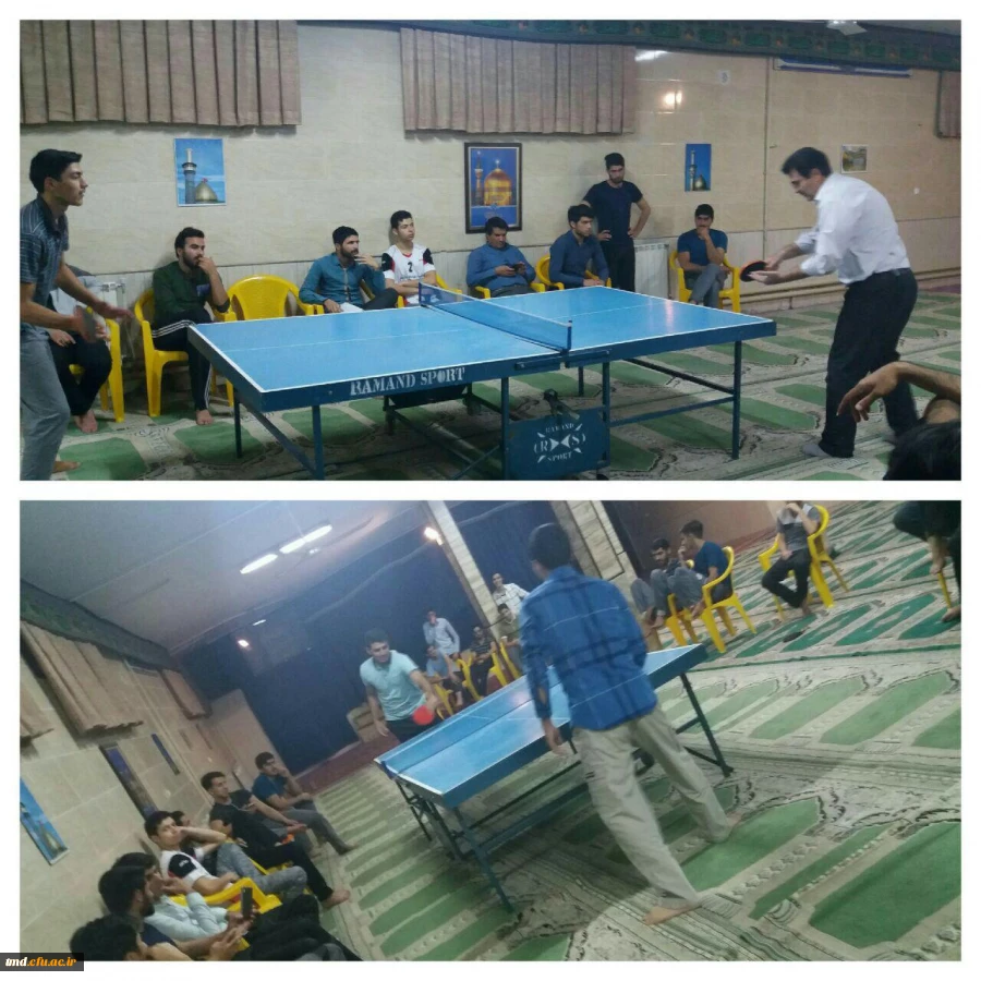 مسابقات تنیس روی میز