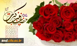 میلاد حضرت زینب کبری (س) مبارک باد