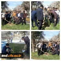 روز درختکاری