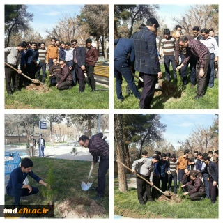 همزمان با روز درختکاری و با همت شورای صنفی برگزار شد : 
غرس چند اصله نهال در محوطه دانشگاه فرهنگیان واحد دانشور