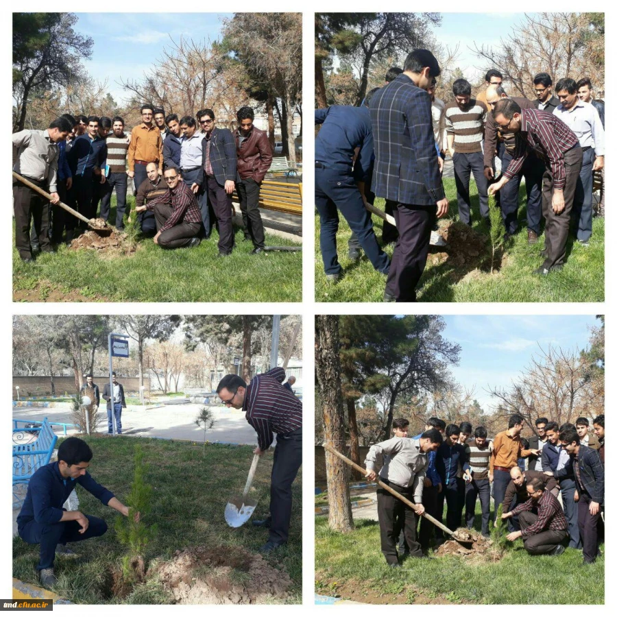 روز درختکاری