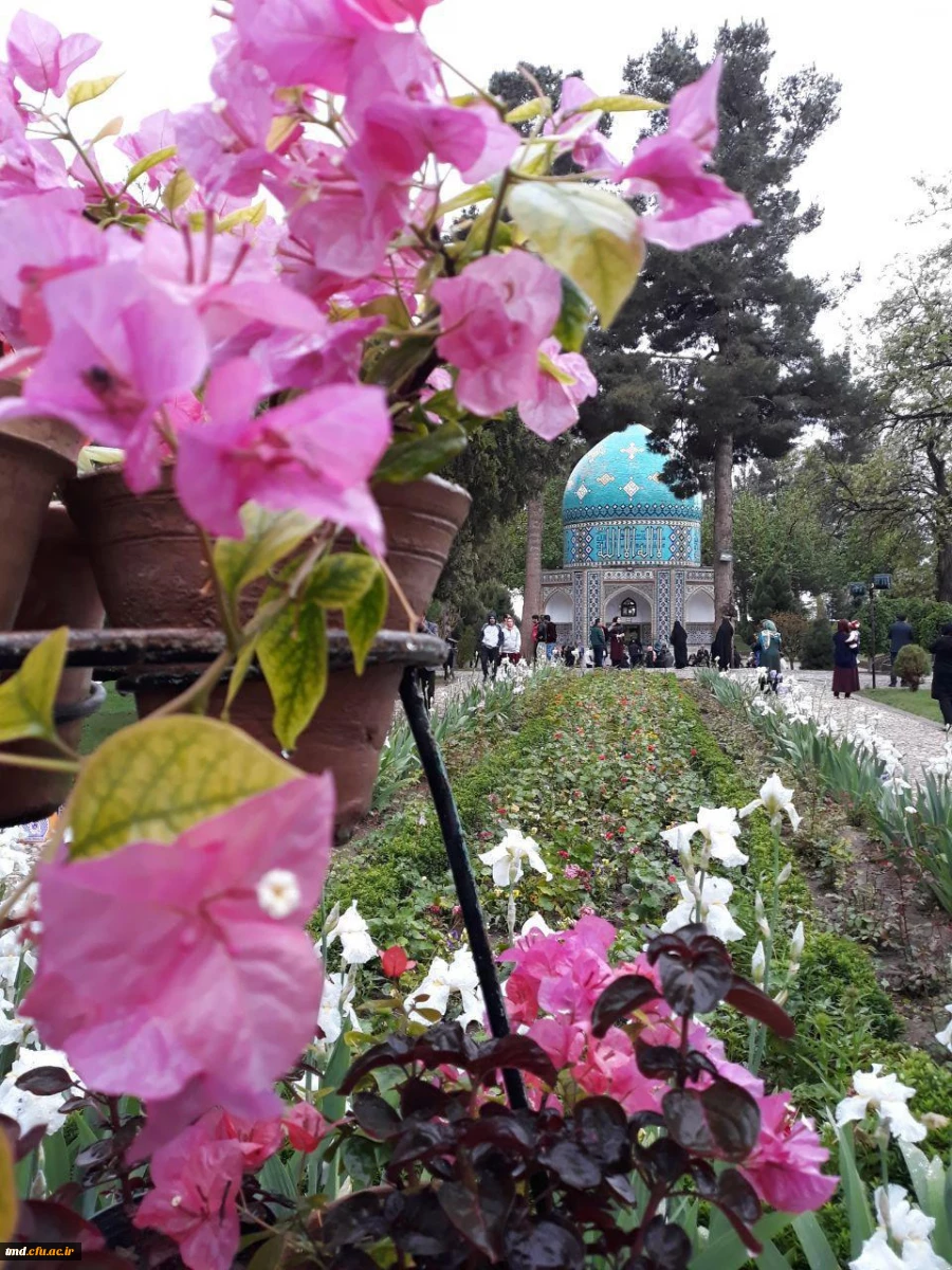 روز جهانی عطار