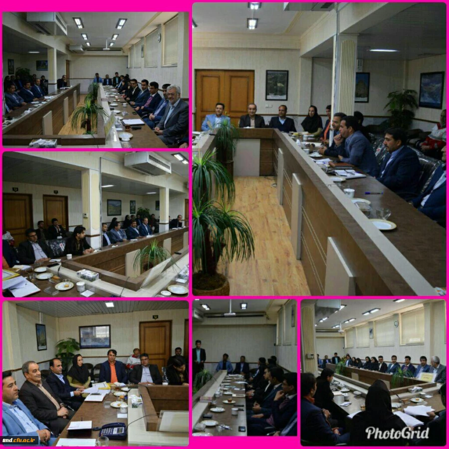 پارلمان جوانان