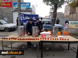 پذیرایی از کاروان جاماندگان اربعین حسینی