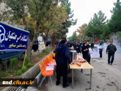 پذیرایی از کاروان جاماندگان اربعین حسینی