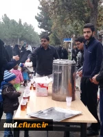 پذیرایی از کاروان جاماندگان اربعین حسینی