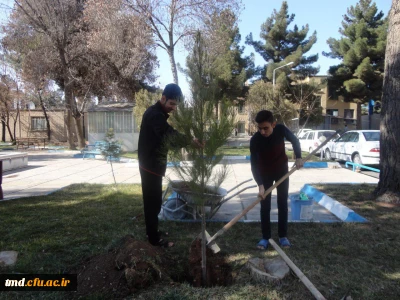 همزمان با روز درختکاری انجام شد : 
کاشت نهال توسط دانشجویان واحد دانشور