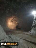 بمناسبت هفته سراهای دانشجویی و هفته سرآمدی آموزش برگزار شد : 
بازدید علمی دانشجویان از معادن فیروزه و نمک شهرستان نیشابور 12