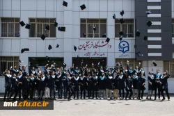 دانش آموختگی ورودی های 94