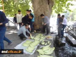 با حضور دانشجویان ورودی 98 ( برادران ) انجام شد : 
آئین استقبال از دانشجویان جدید الورود و برگزاری اردوی توجیهی تفریحی به مقصد شهر ییلاقی درود 6