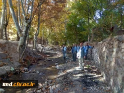 همزمان با هفته تربیت بدنی و سلامت انجام شد : 
برگزاری اردوی کوهپیمایی و گلگشت ویژه کارکنان واحد دانشور  4