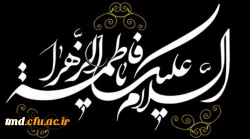 سالروز شهادت صدیقه کبری ( س) تسلیت باد 