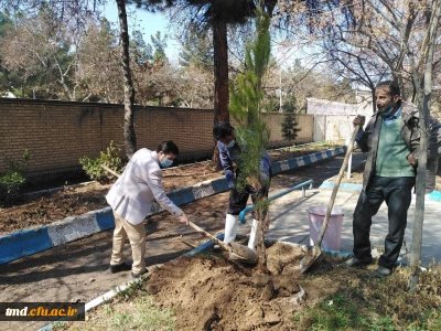 همزمان با هفته منابع طبیعی و روز درختکاری انجام شد : 
غرس چند اصله نهال در محوطه دانشگاه فرهنگیان واحد دانشور 