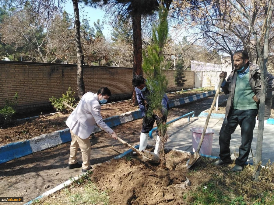 همزمان با هفته منابع طبیعی و روز درختکاری انجام شد : 
غرس چند اصله نهال در محوطه دانشگاه فرهنگیان واحد دانشور  2